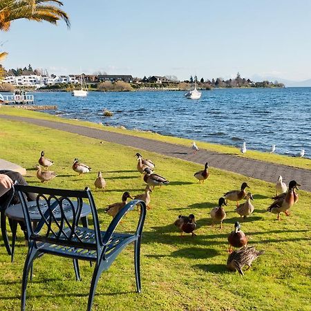 Oasis Beach Motel Taupo Exterior photo